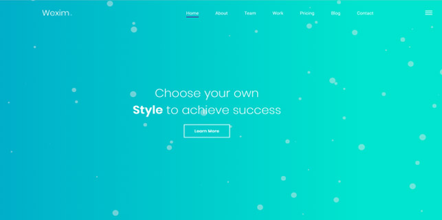 demo_preview